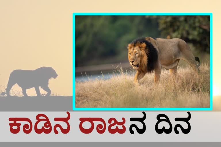 PM Narendra Modi conveys his greetings on 'World Lion Day