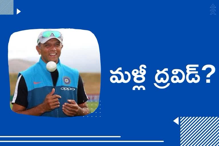 rahul dravid