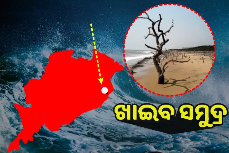 ପାରାଦୀପ ସହ ୧୨ ସହରକୁ ଖାଇଯିବ ସମୁଦ୍ର !