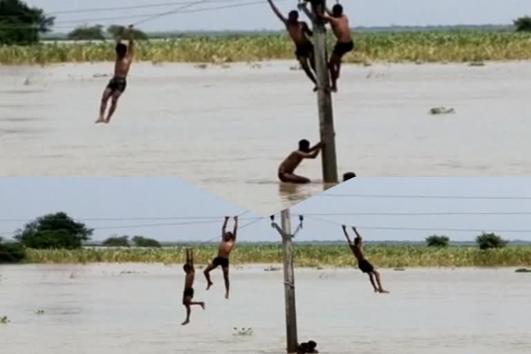 dangerous stunt video in bihar