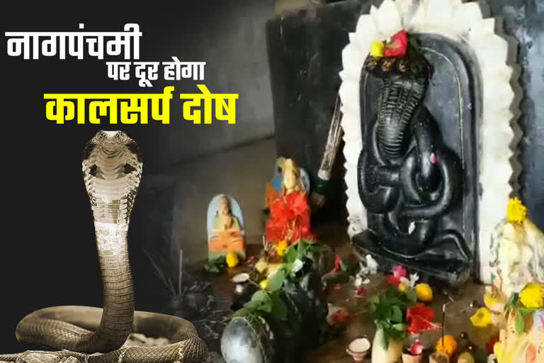 Nag Panchami 2021