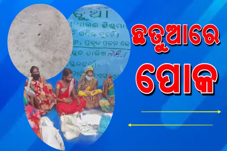 ପୋକରା ଛତୁଆ ପାଇଁ ସିଡିପିଓ ଅଫିସ ଘେରିଲେ ମହିଳା