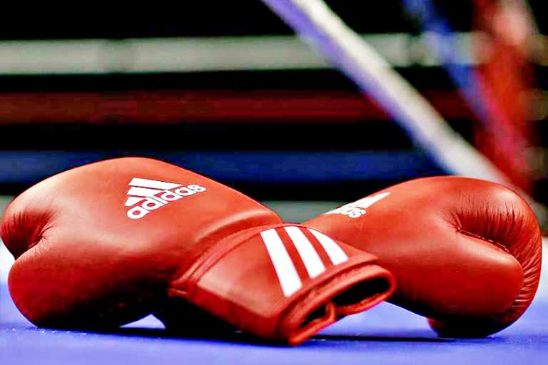 World Boxing Council  World Boxing Council announces  विश्व मुक्केबाजी परिषद  भारत समिति का गठन  Committee  WBC  मुक्केबाज  boxer  Sports  Sports Boxing WBC India