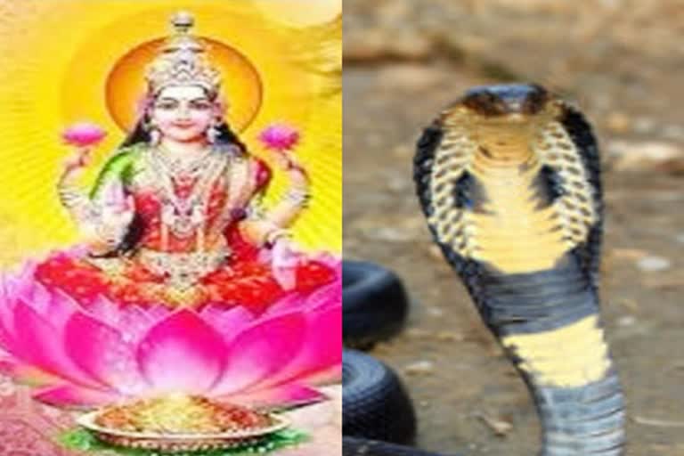 Worship of Mahalakshmi with Nag Panchami