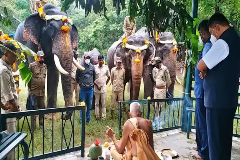 World elephant day celebrated at sakrebailu elephant camp