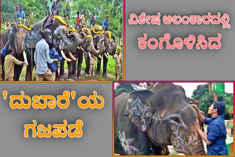 World Elephant day celebration in Kodagu district Dubare