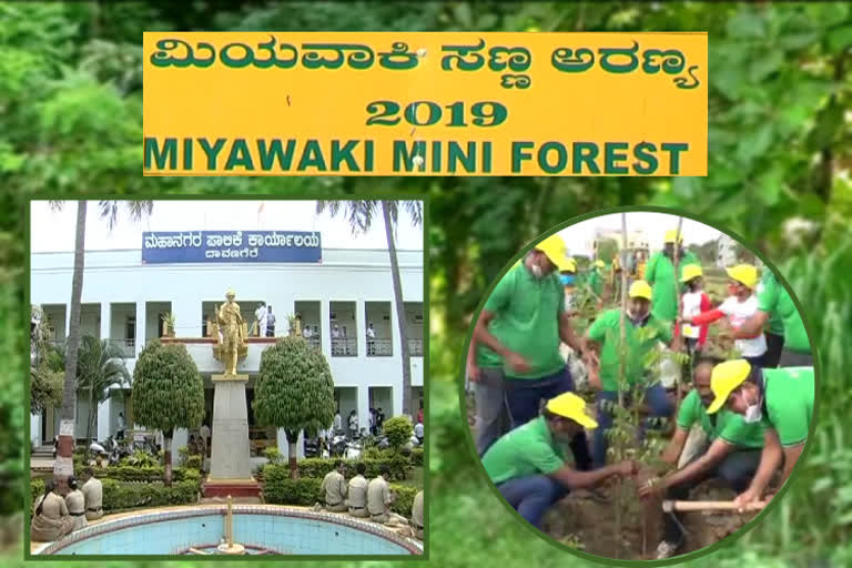 Miyawaki forest model implementation in Davangere