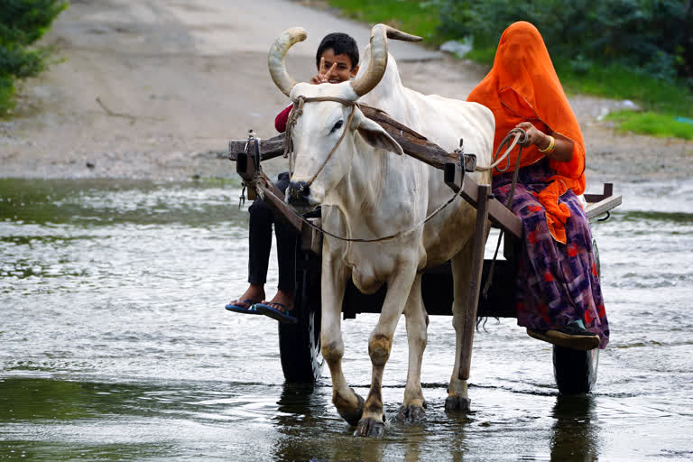 rain-update-in-chhattisgarh-today-13-august