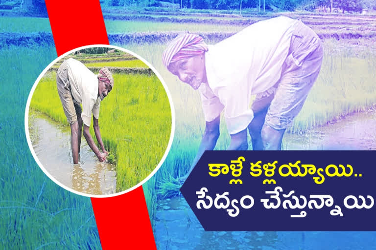 FARMER BIKSHAM