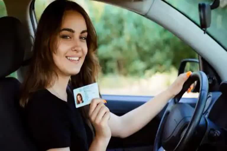 अंतरराष्ट्रीय ड्राइविंग लाइसेंस, international driving licenses