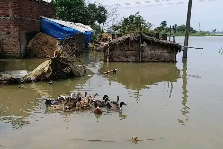 बाढ़ से बेपटरी हुई जिंदगी