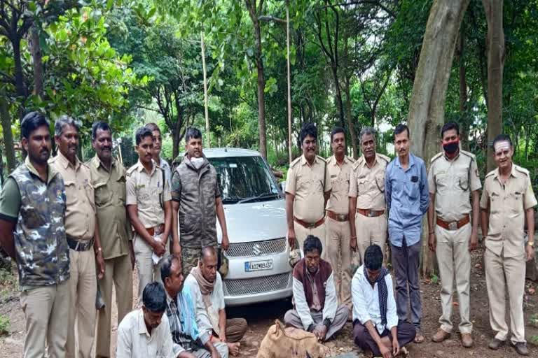 Hunting of 85 bats in Haveri