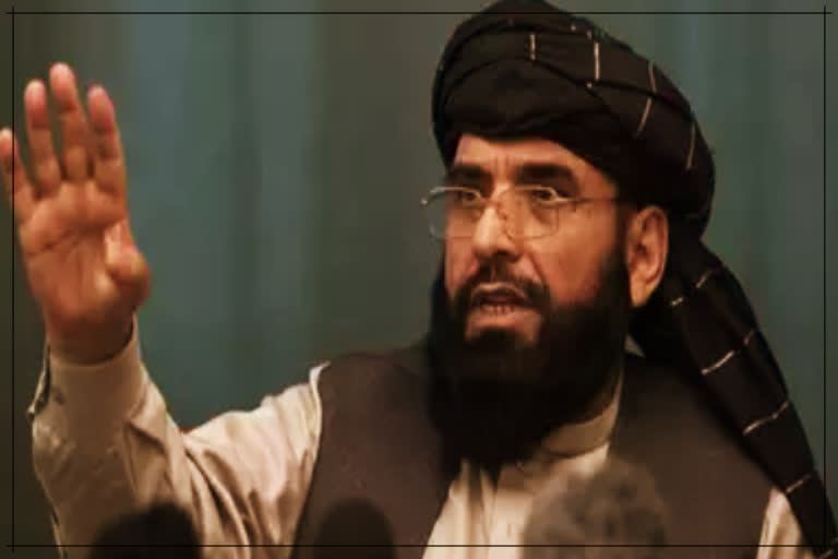 Afghan Taliban spokesman Suhail Shaheen