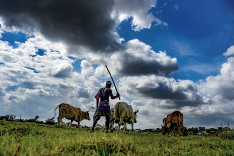 தமிழ்நாடு சிறு, குறு விவசாயிகள் சங்க மாநில தலைவர் சுதந்திர ராசு பேசும் காணொலி