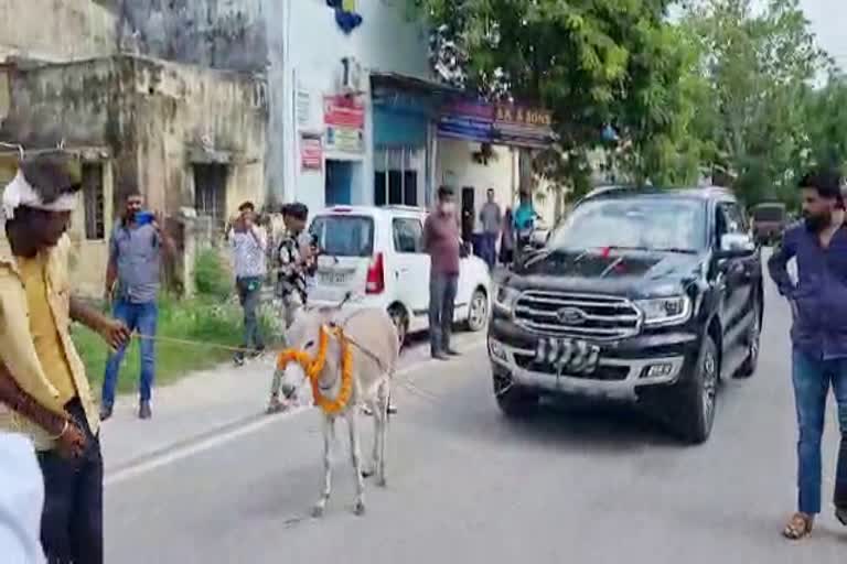 dragging luxury car with donkey, Jaipur news