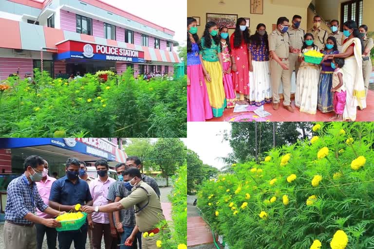 FLOWER GARDEN  MARARIKULAM POLICE STATION  മാരാരിക്കുളം പൊലീസ് സ്റ്റേഷൻ  പൊലീസ് സ്റ്റേഷൻ  മാരാരിക്കുളം ജനമൈത്രി പൊലീസ് സ്‌റ്റേഷൻ  പൂക്കളം  ഓണം  പൂവ്  പൊലീസ്  ചെണ്ടുമല്ലി  ബന്ദി  വന സ്വർഗം ഹോപ്പ് കമ്മ്യൂണിറ്റി വില്ലേജ്  ഹോപ്പ് കമ്മ്യൂണിറ്റി വില്ലേജ്  Hope village