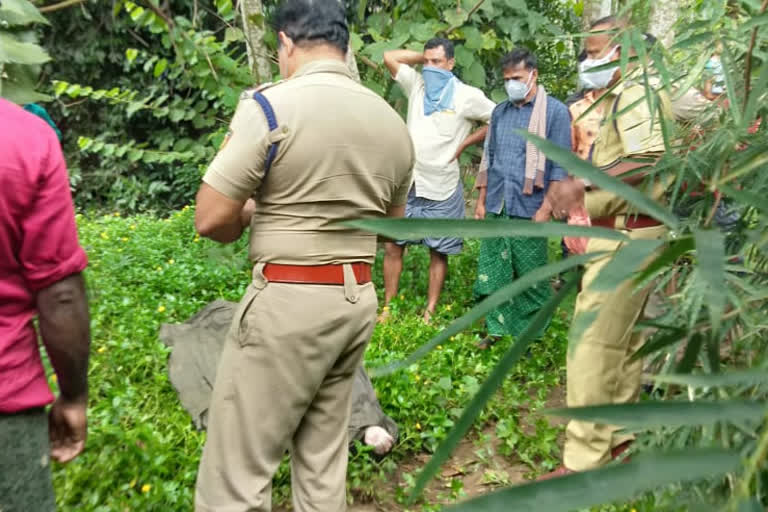 വളാഞ്ചേരി സ്വദേശി  A native of Valancherry who went missing in a water falls  Valancherry native  വളാഞ്ചേരി കൊളത്തൂർ സ്വദേശി  കുരുത്തിച്ചാല്‍ വെള്ളച്ചാട്ടം  Kuruthichal water Falls  മലപ്പുറം വാര്‍ത്ത  malappuram news  ഒഴുക്കിൽ പെട്ട് കാണാതായ വളാഞ്ചേരി സ്വദേശി മരിച്ചു