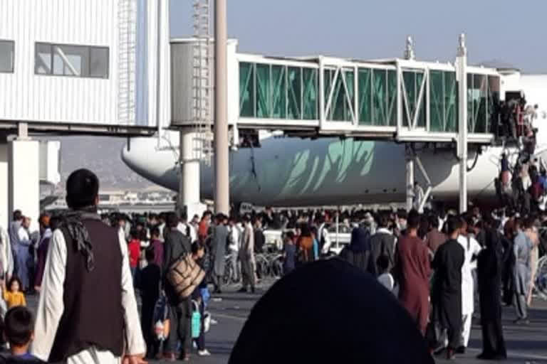 crowds at kabul airport during international evacuations