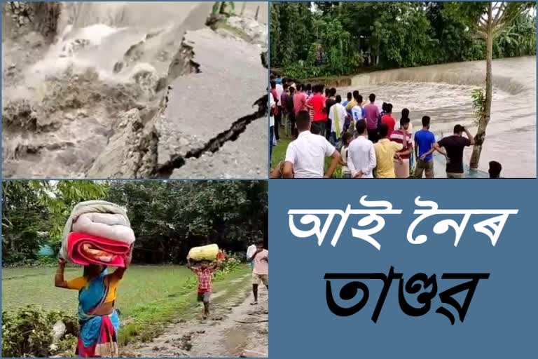 manikpur-flood-etv-bharat-assam