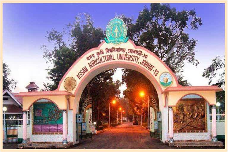 74th-foundation-day-celebrations-of-jorhat-agricultural-college