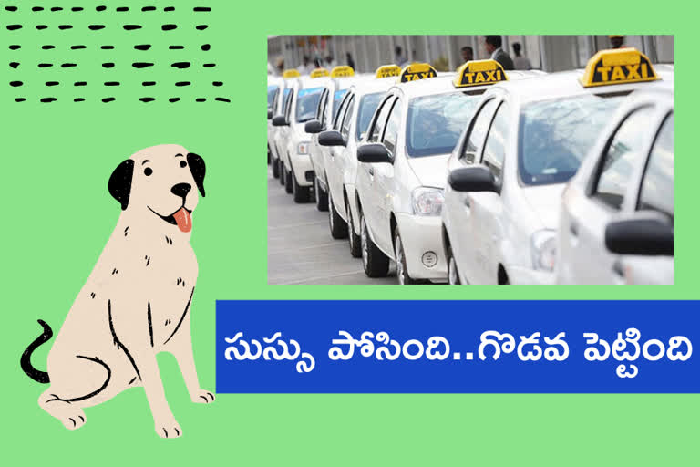 attack-on-driver-for-asking-dog-to-urinate-in-cab