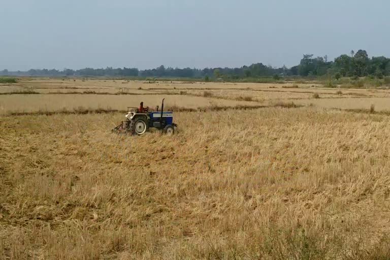 due-to-less-rain-demand-to-declare-bastar-as-drought