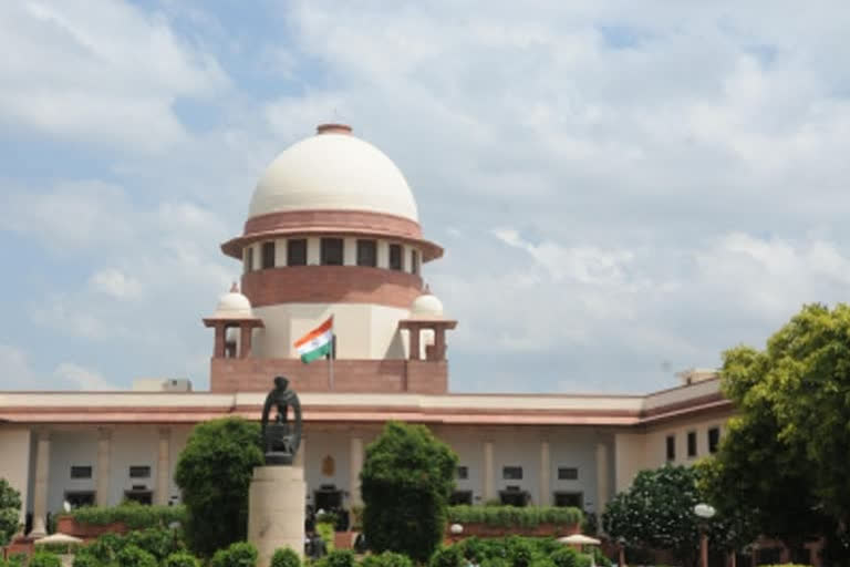 apex court