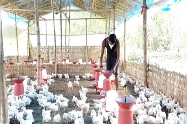 three-families-of-assam-got-boycotted-from-society-for-poultry-farming