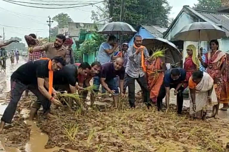 सड़क पर वार्डवासियों ने रोपा धान