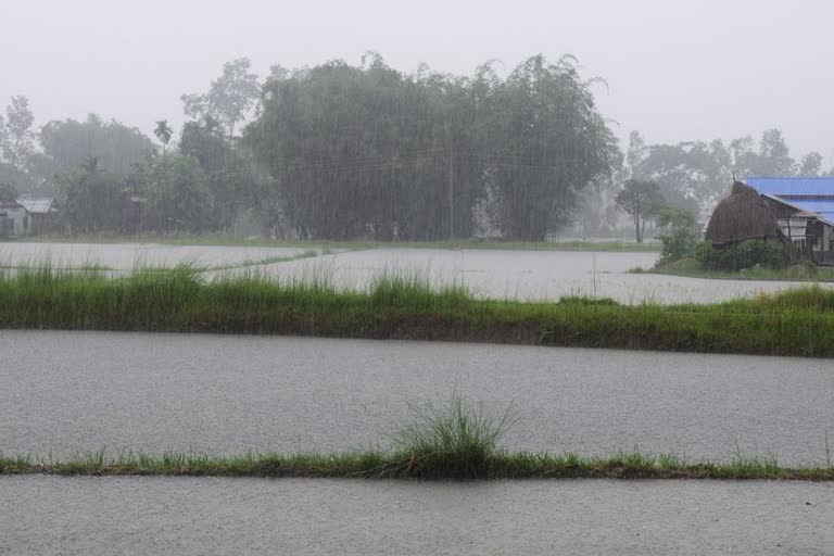 বৃষ্টিপাত