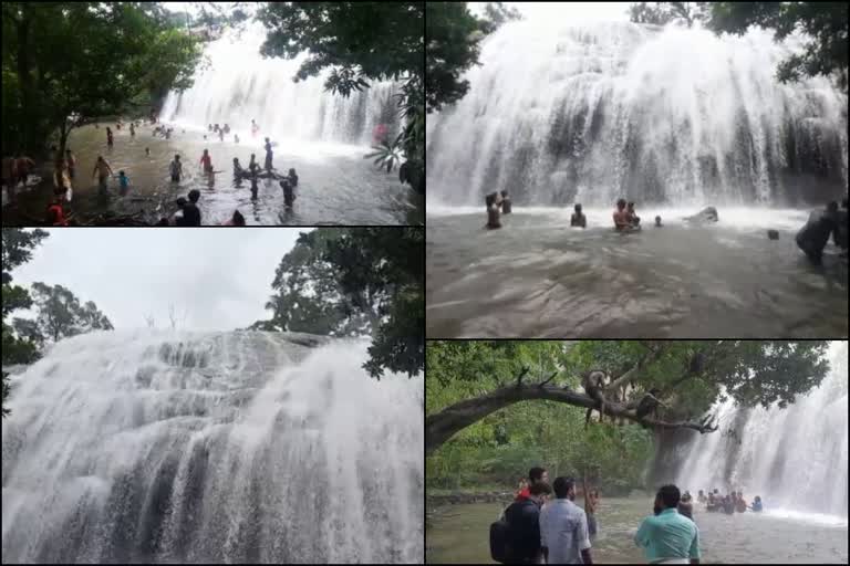 Aanachadikutth waterfall  ആനചാടിക്കുത്ത് വെള്ളച്ചാട്ടം  കൊവിഡ്  ഇക്കോ ടൂറിസം  വനം വകുപ്പ്  തൊമ്മൻകുത്ത് വെള്ളചാട്ടം  ടൂറിസം വകുപ്പ്  Aanachadikutth waterfall thodupuzha idukki  waterfall Idukki