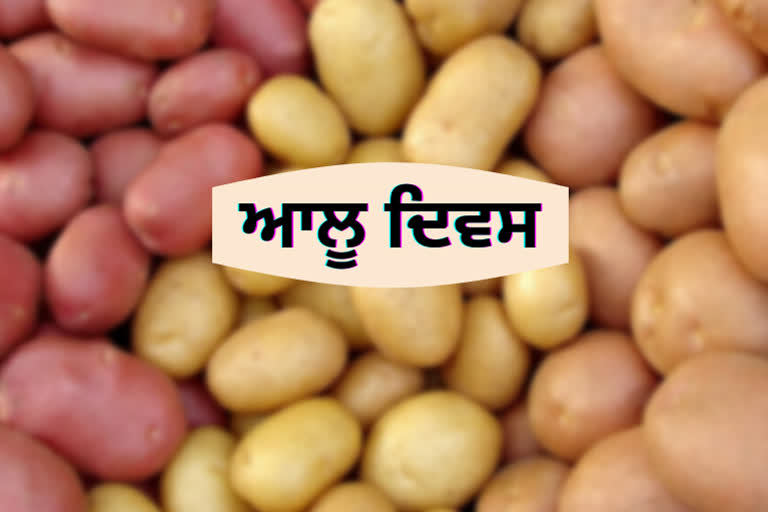 potato day 2021:ਜਾਣੋ ਆਲੂ ਦਾ ਇਤਿਹਾਸ