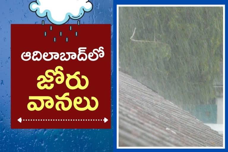 Heavy rains in adilabad district