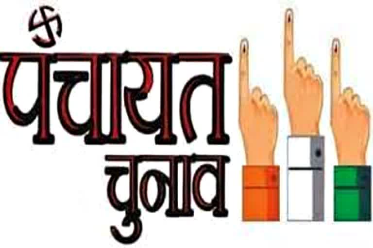 Panchayat Election, Rajasthan News