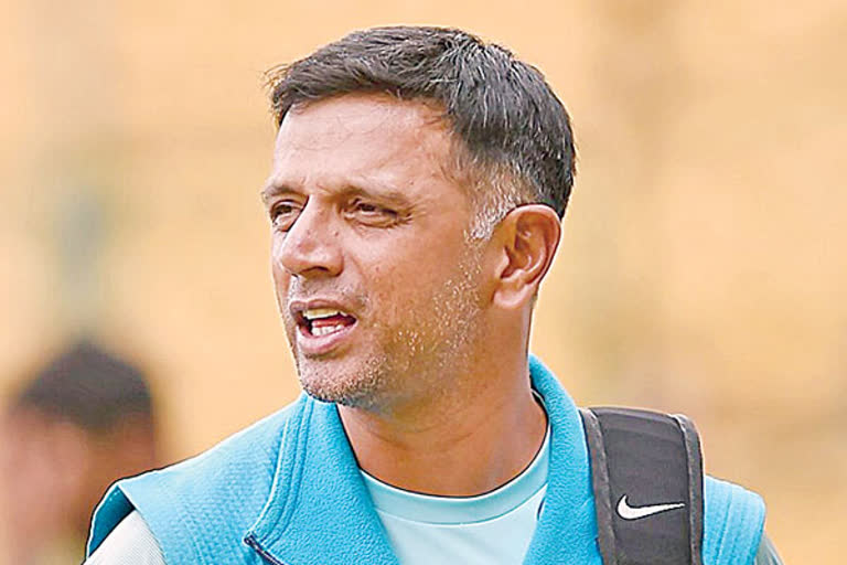 dravid