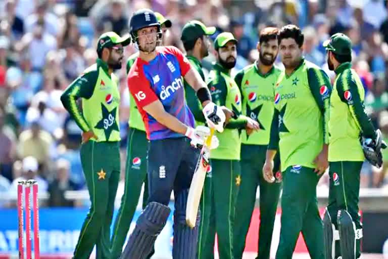 PAK vs ENG  New Zealand Cricket Team  Cricket News  Green Signal  Afghanistan  अफगानिस्तान में तालिबानी सत्ता  पाक दौरा करेगा न्यूजीलैंड  Taliban rule in Afghanistan  New Zealand to visit Pakistan