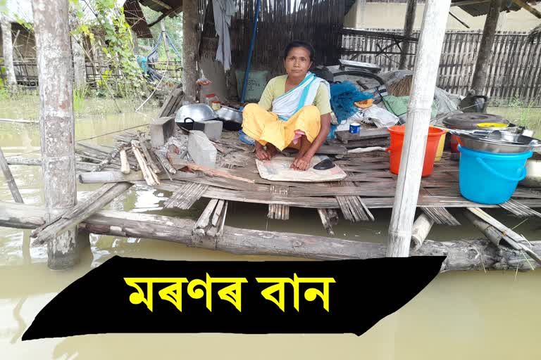 Dhemaji flood update