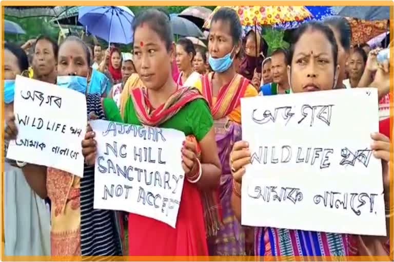 protests against python hill wildlife sanctuary