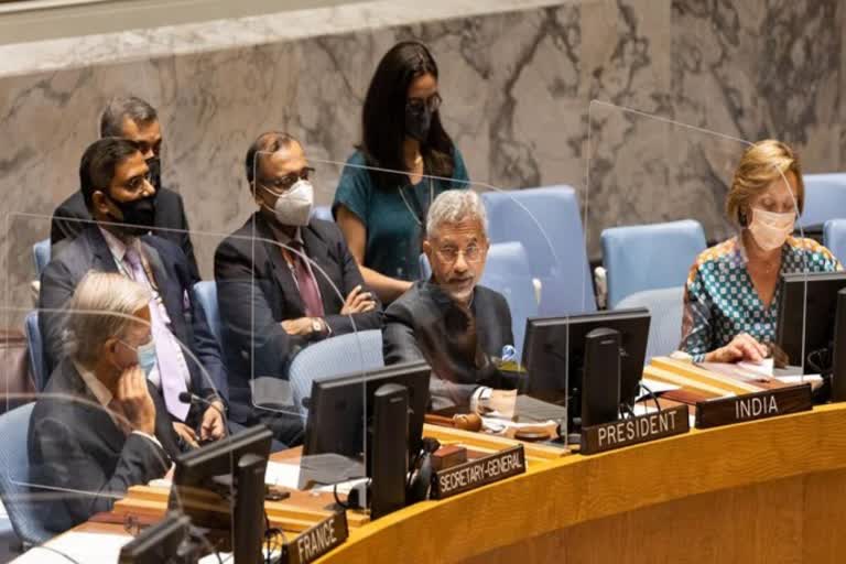 Pakistan-based terror groups operate with impunity: Jaishankar at UNSC