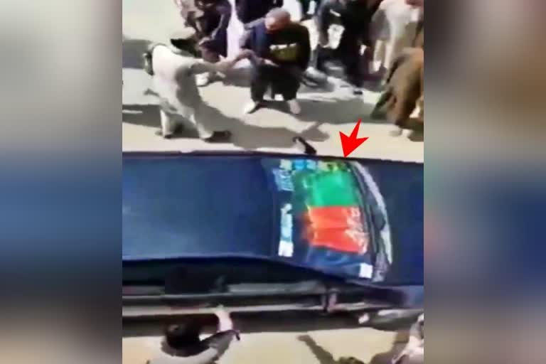 displaying Afghan flag on car