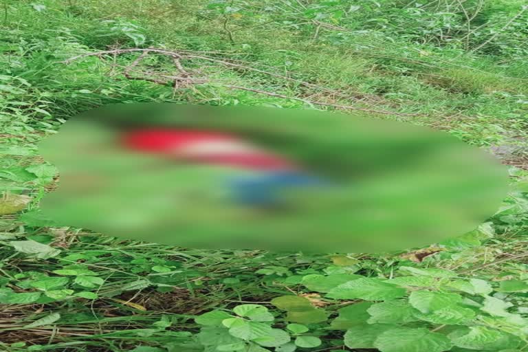 dead body recovered from bush