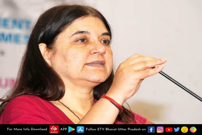 sultanpur-roads-damaged-due-to-poorvanchal-express-way-construction-says-bjp-mp-maneka-gandhi