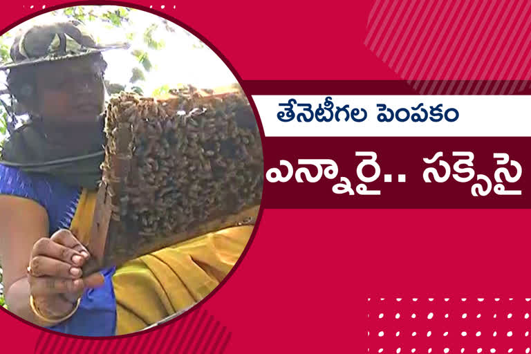 nri-women-successful-in-honey-beekeeping