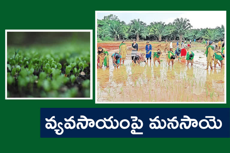 growing-demand-for-agricultural-degree-courses-in-telangana