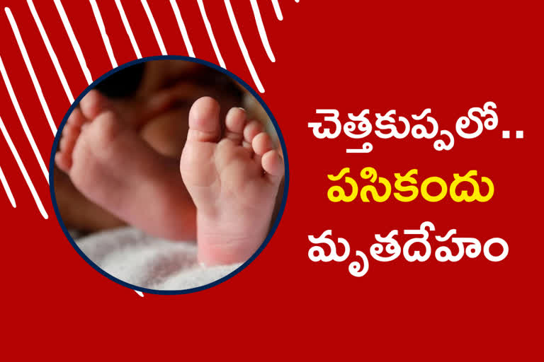 infant-body-found-in-a-dumpster-in-nizamabad
