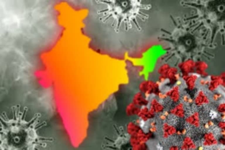 Coronavirus India