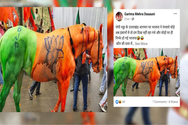 truth of saffron horse