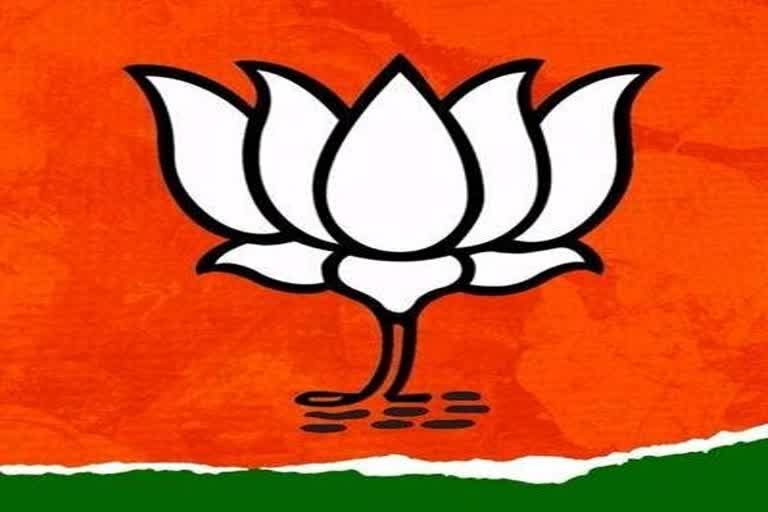 is-bjp-senior-leaders-getting-less-importance-in-assam