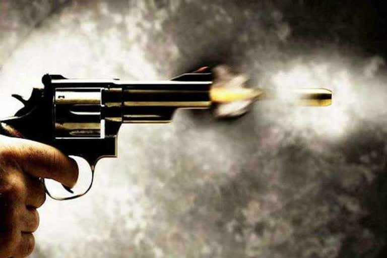 Udaipur news, Husband shot his wife