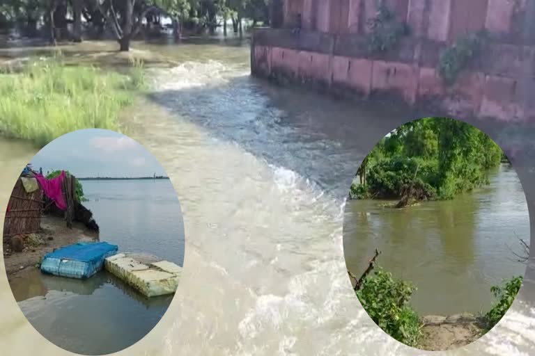 Muzaffarpur flood